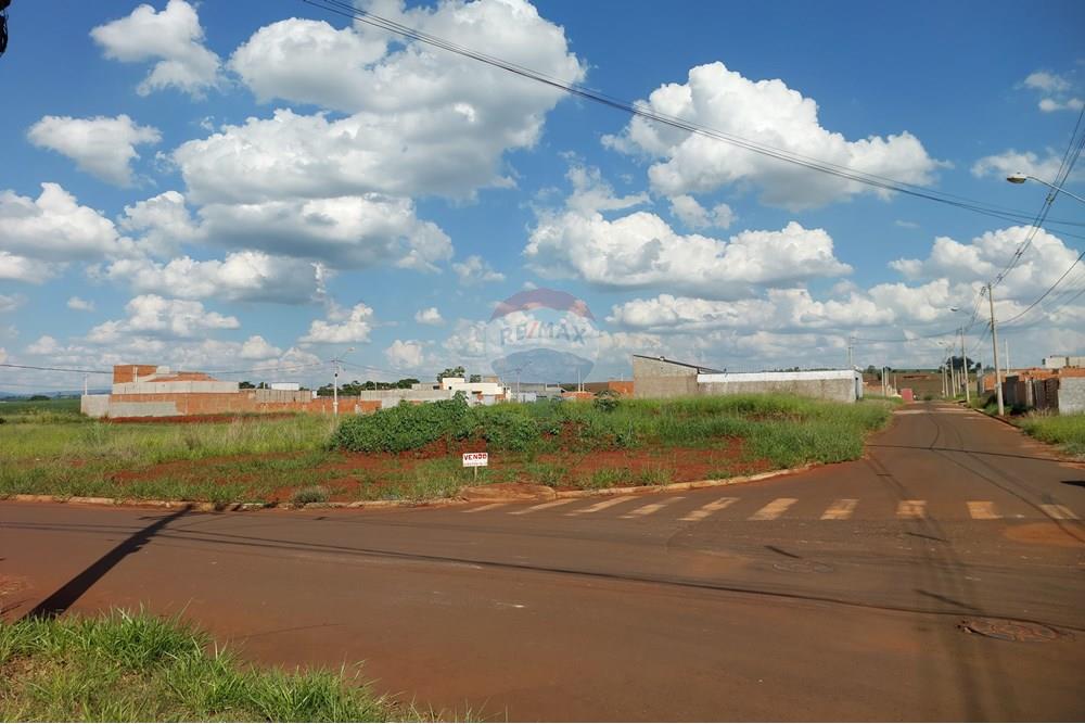 Terreno - Venda - Mogi Guaçu , São Paulo - 20241218_152449.jpg - 690521010-257