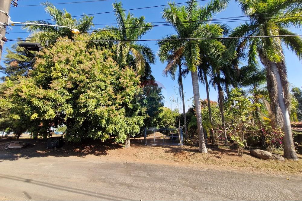 Terreno - Venda - Jaguariúna , São Paulo - 20250814_151410.jpg - 690671008-324