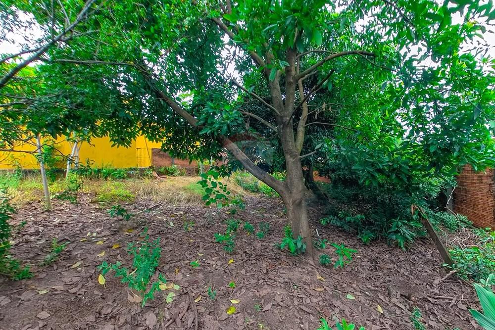 Terreno - Venda - Rio Claro , São Paulo - Tratada-3 (1).jpg - 690691027-198