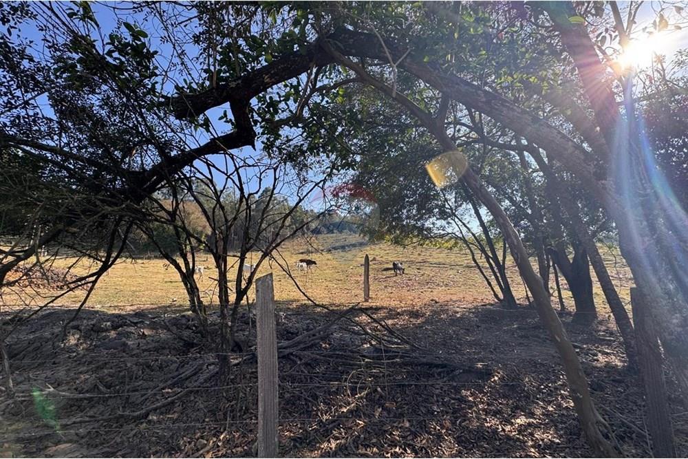 Terreno - Venda - Tuiuti , São Paulo - WhatsApp Image 2025-10-06 at 14.47.27 (8).jpeg - 690041052-114