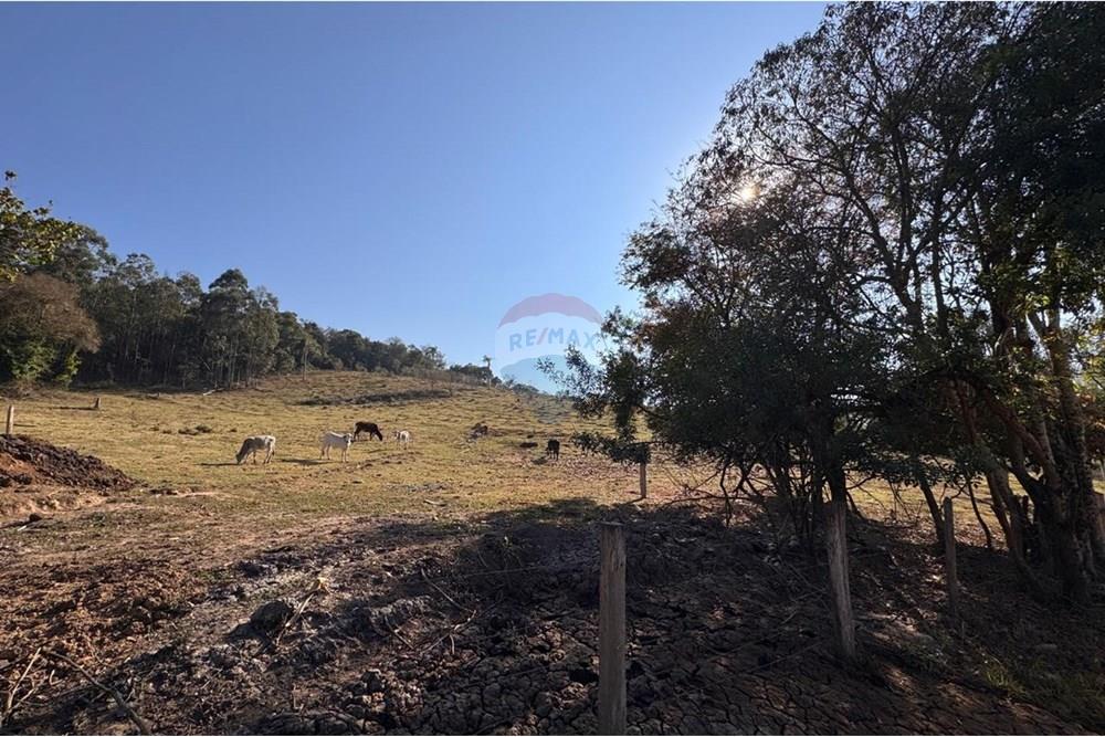 Terreno - Venda - Tuiuti , São Paulo - WhatsApp Image 2025-10-06 at 14.47.27 (2).jpeg - 690041052-114