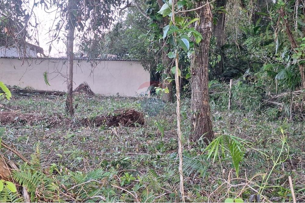 Terreno - Venda - Bertioga , São Paulo - FOTO 14.jpg - 690341001-21