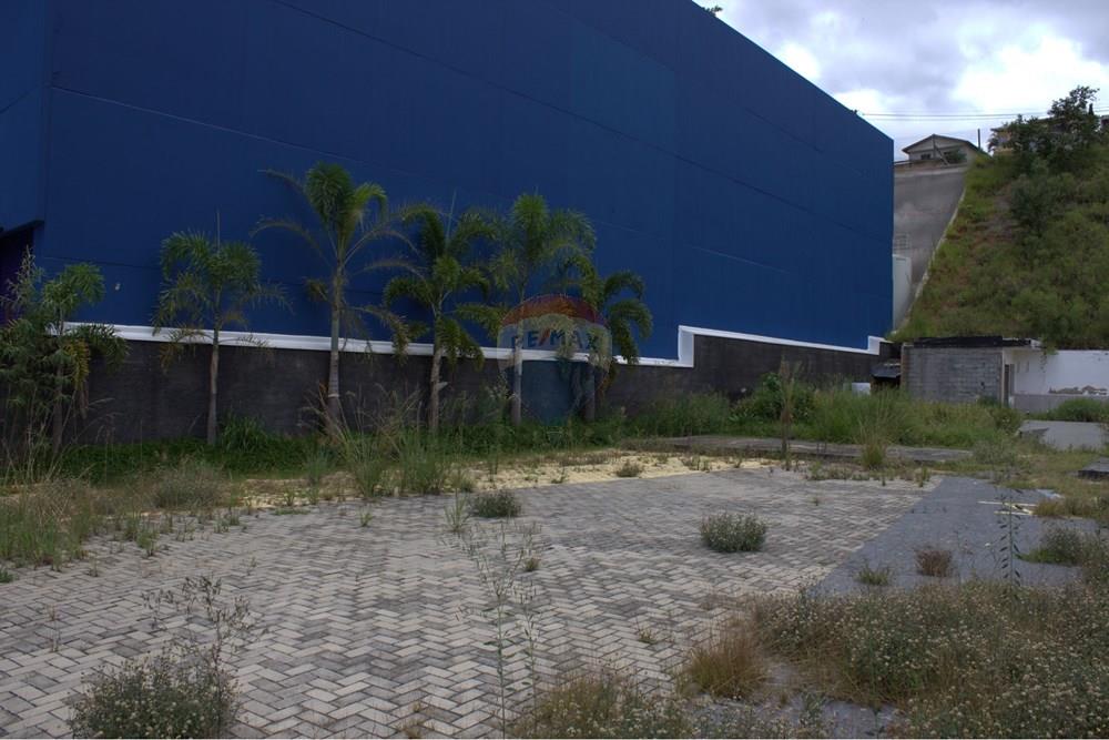 Terreno - Alugar - Bragança Paulista , São Paulo - IMG_3195.jpg - 690041001-244