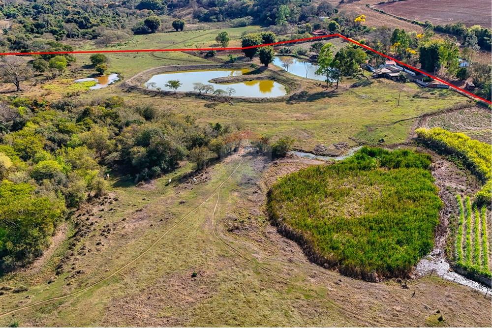 Chácara / Sítio / Fazenda - Venda - Santa Cruz da Conceição , São Paulo - Tratada-17.jpg - 690481001-177