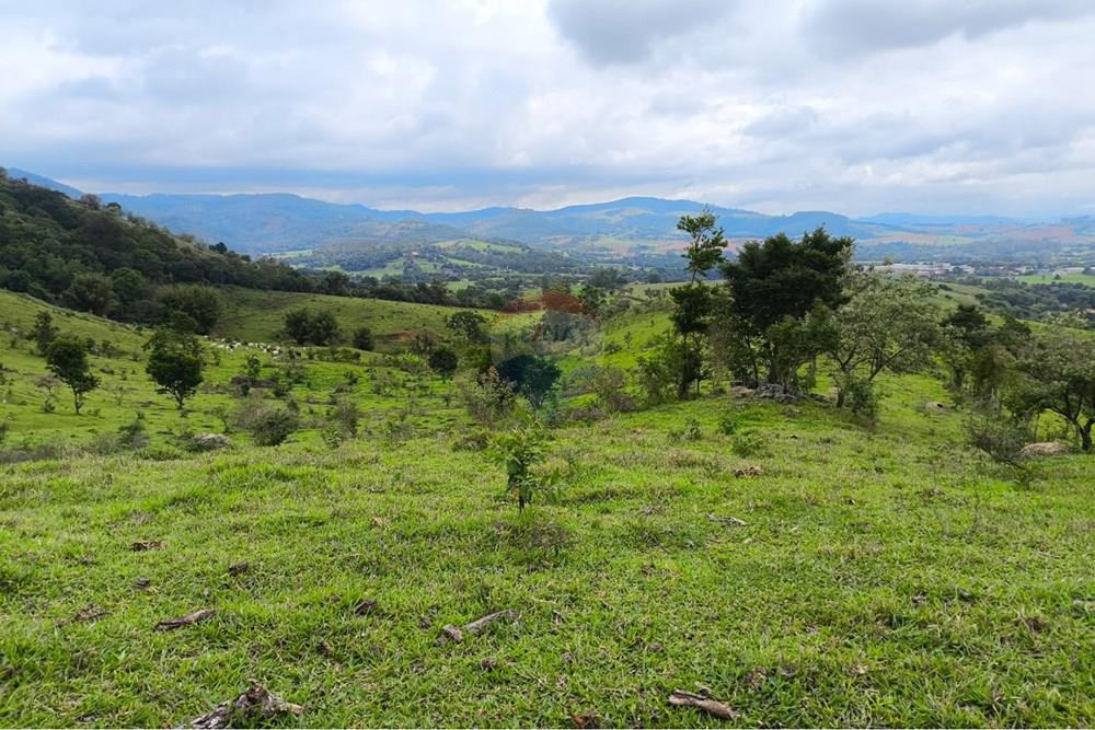 Chácara / Sítio / Fazenda - Venda - Morungaba , São Paulo - WhatsApp Image 2026-02-06 at 16.39.15 (4).jpeg - 691131002-3