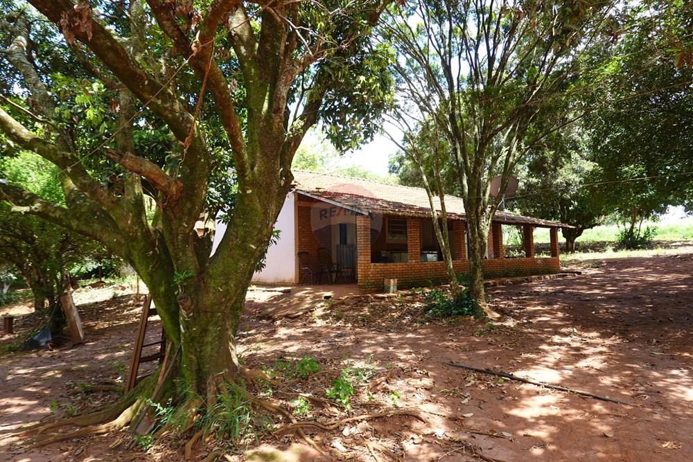 Agro - Venda - Araraquara , São Paulo - 12.JPG - 690151012-120