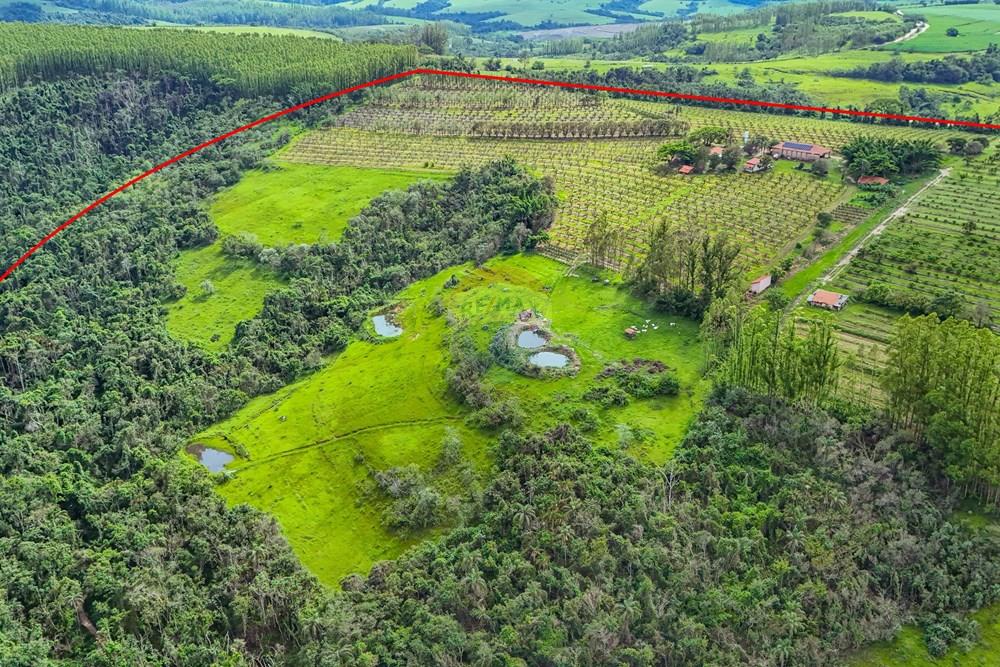 Fazenda - Venda - Analândia , São Paulo - Tratada - Drone-34.jpg - 690691016-305