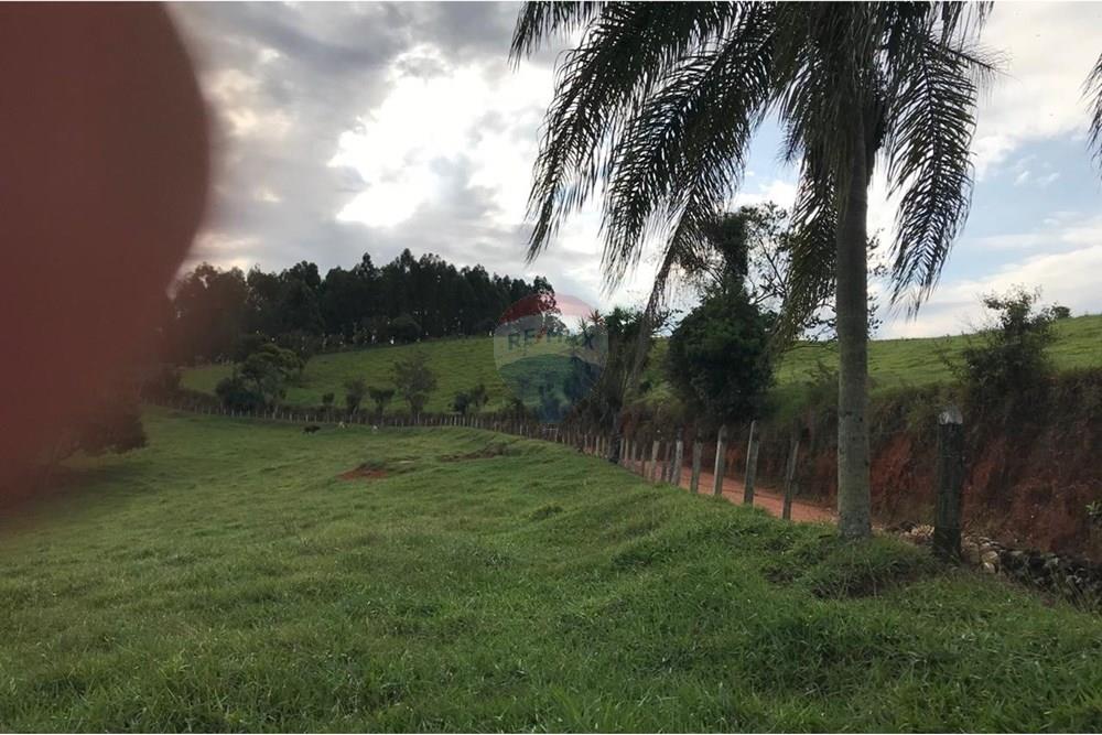 Chácara / Sítio / Fazenda - Venda - Socorro , São Paulo - IMG-20250520-WA0042.jpg - 690291056-39