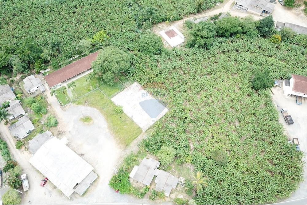 Fazenda - Venda - Miracatu , São Paulo - Imagem do WhatsApp de 2025-03-13 à(s) 16.47.27_a51a5bac.jpg - 690061038-8