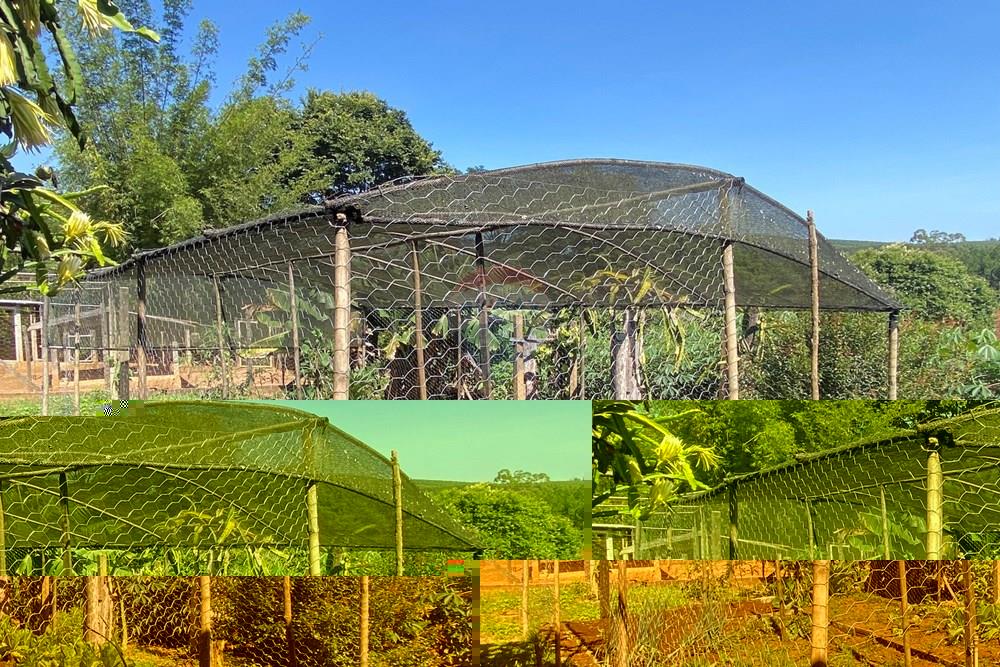 Chácara / Sítio / Fazenda - Venda - Jarinu , São Paulo - Z23.JPEG - 691121002-22