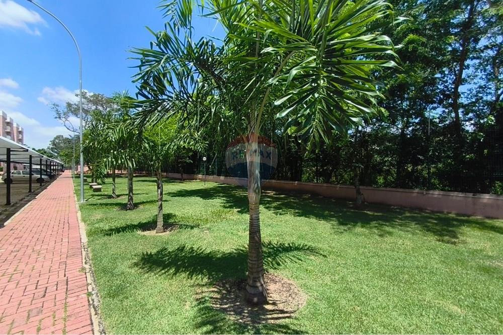 Apartamento - Alugar - Paulínia , São Paulo - WhatsApp Image 2026-03-03 at 15.22.12 (1).jpeg - 690511246-32