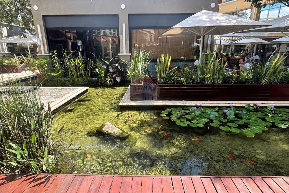 Cj. Comercial/ Sala - Alugar - Campinas , São Paulo - IMG_1431.JPG - 690681117-77