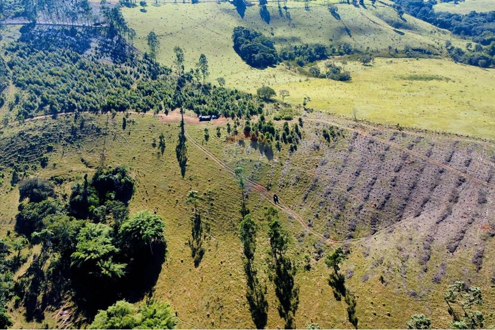 Chácara / Sítio / Fazenda - Venda - Socorro , São Paulo - dji_fly_20250617_095556_232_1750165110894_photo_optimized.jpg - 690291056-39