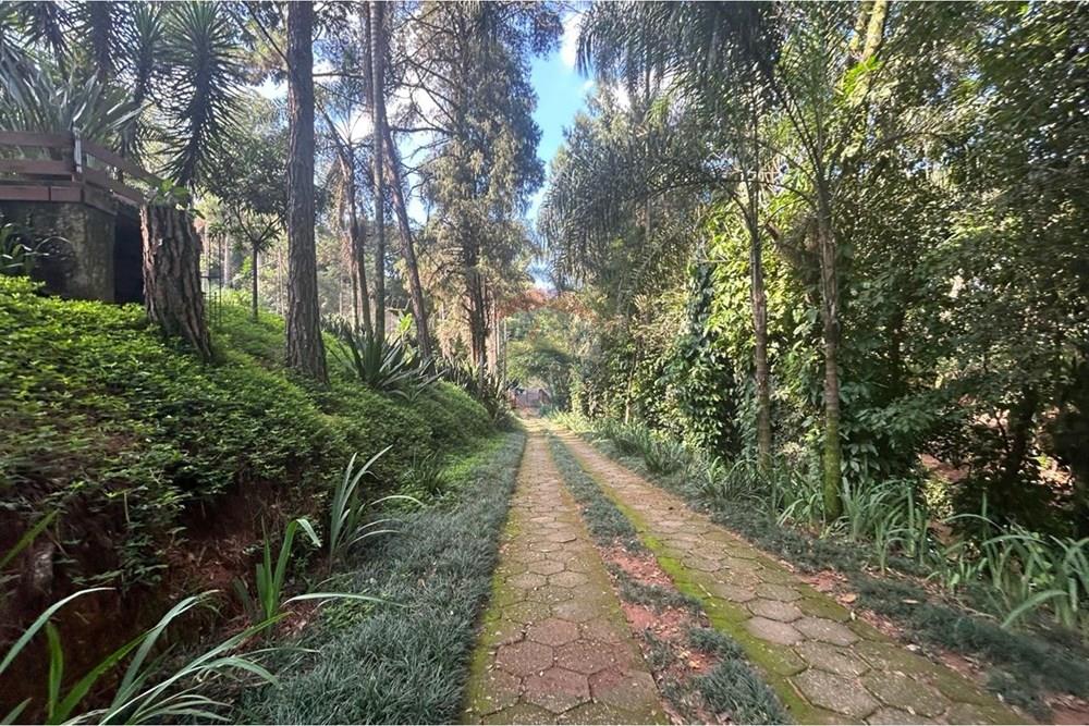 Chácara / Sítio / Fazenda - Venda - Jarinu , São Paulo - Foto 1.jpeg - 690661027-157