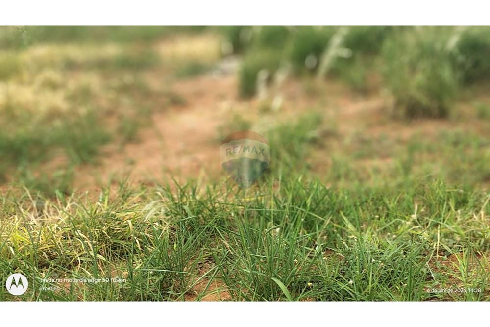 Terreno - Venda - Limeira , São Paulo - WhatsApp Image 2026-01-06 at 14.43.21 (3).jpeg - 690741092-3