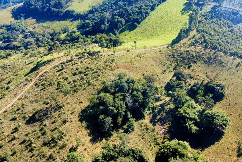 Chácara / Sítio / Fazenda - Venda - Socorro , São Paulo - dji_fly_20250617_095600_233_1750165115516_photo_optimized.jpg - 690291056-39