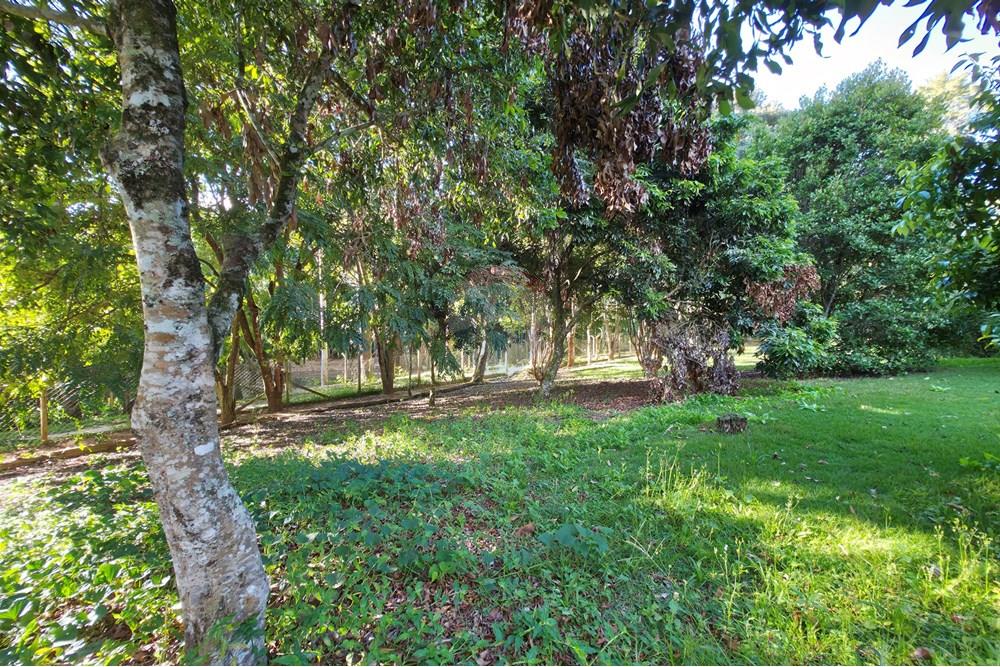 Chácara / Sítio / Fazenda - Venda - Socorro , São Paulo - 20250505_154828.jpg - 690041041-39