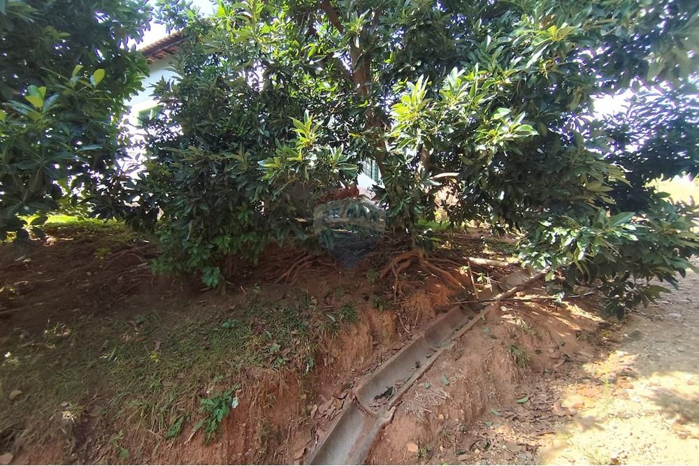 Chácara / Sítio / Fazenda - Venda - Itapira , São Paulo - 1751510168863.jpg - 690291085-364