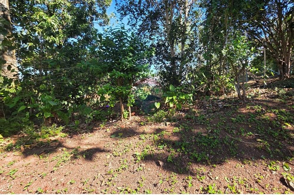 Casa - Venda - Pedreira , São Paulo - 20251020_152022.jpg - 690751050-167