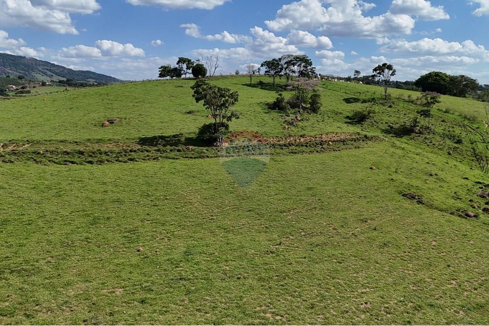 Chácara / Sítio / Fazenda - Venda - Socorro , São Paulo - DJI_20251121151108_0407_D.JPG - 690041041-39