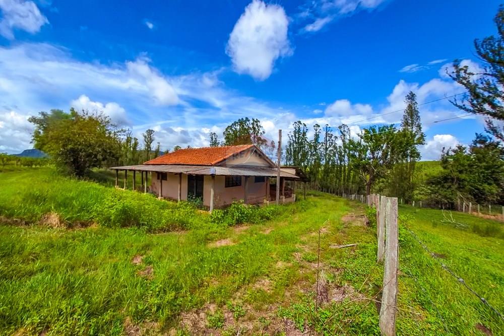 Fazenda - Venda - Analândia , São Paulo - Tratada-17.jpg - 690691016-305