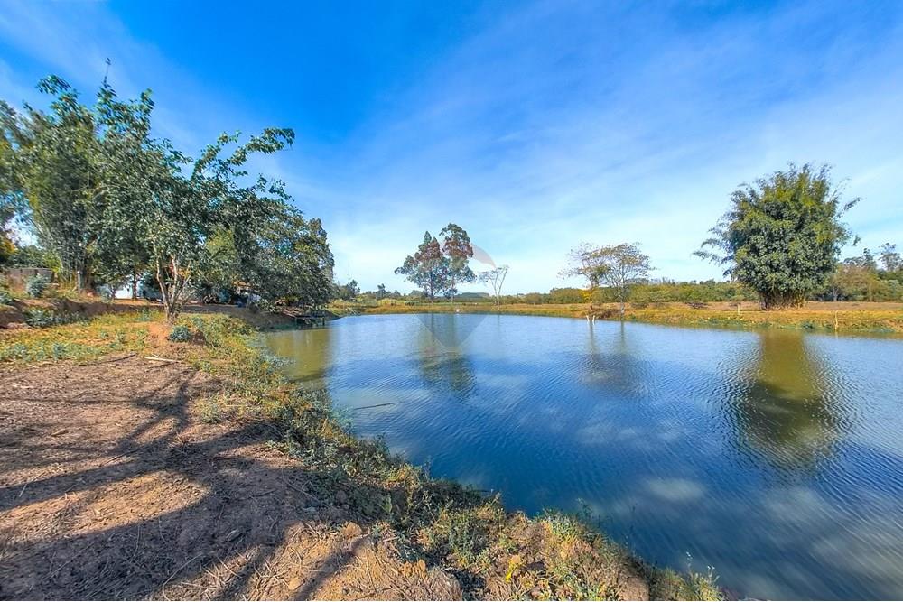 Chácara / Sítio / Fazenda - Venda - Santa Cruz da Conceição , São Paulo - Tratada-16.jpg - 690481001-177