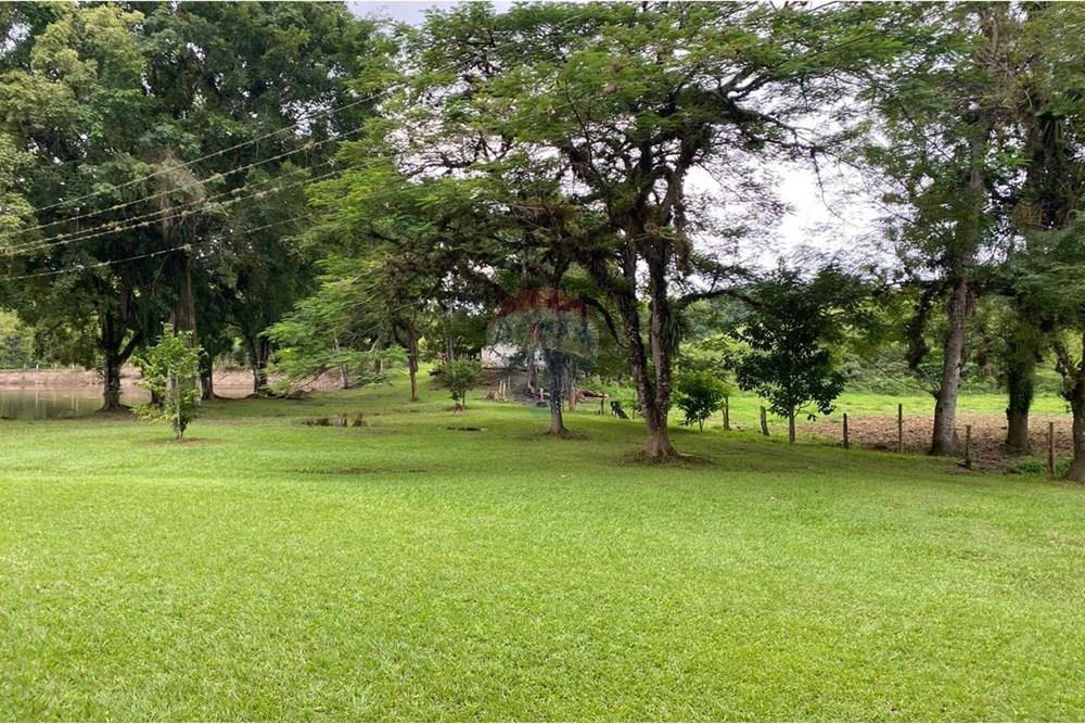 Fazenda - Venda - Miracatu , São Paulo - WhatsApp Image 2025-04-10 at 14.37.55.jpeg - 690061038-2