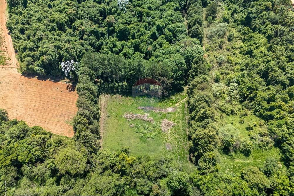 Chácara / Sítio / Fazenda - Venda - Morungaba , São Paulo - TKD-9535.jpg - 690661002-89