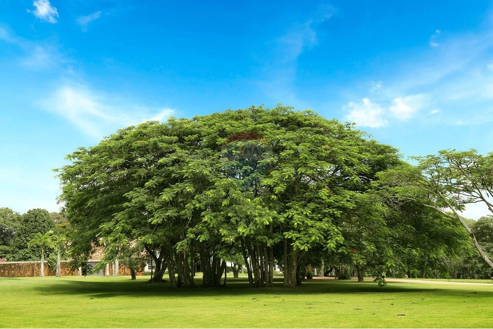 Terreno - Venda - Jaguariúna , São Paulo - Natureza3.jpg - 690671066-34