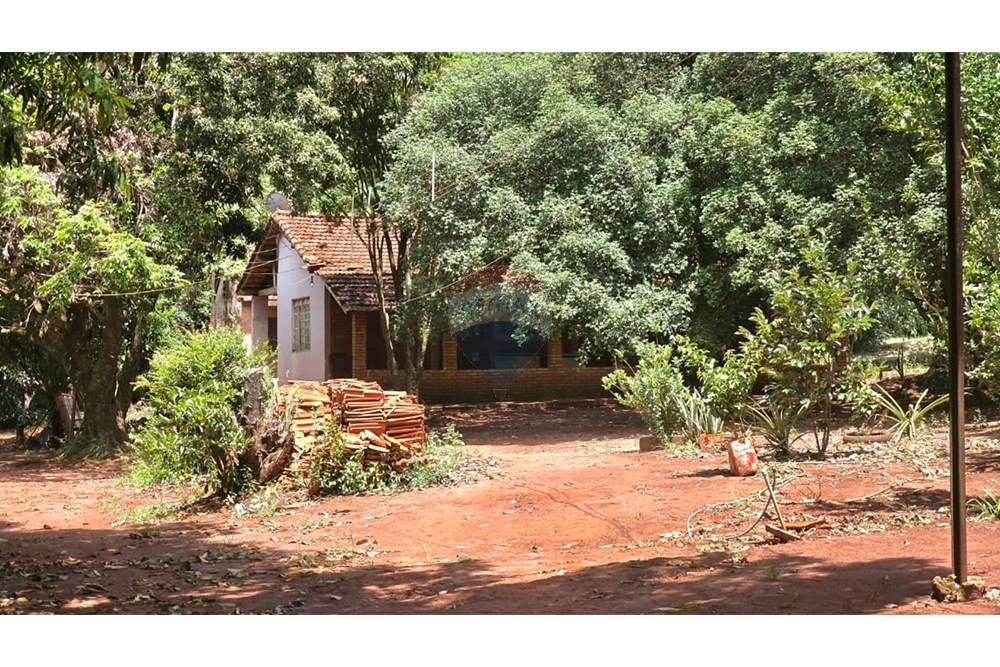 Agro - Venda - Araraquara , São Paulo - 14.JPG - 690151012-120