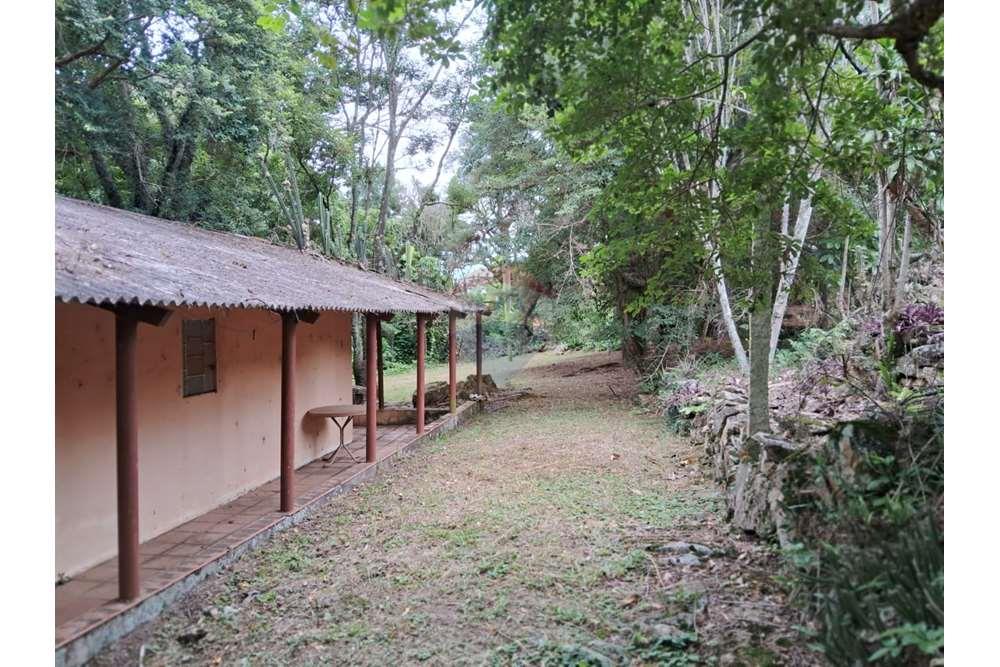 Chácara / Sítio / Fazenda - Venda - Valinhos , São Paulo - foto 12.jpg - 690851076-164