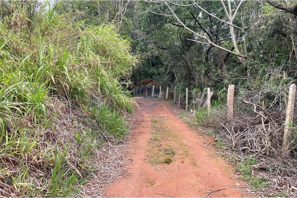 Chácara / Sítio / Fazenda - Venda - Itatiba , São Paulo - Luiz estrada II.jpeg - 690661101-13