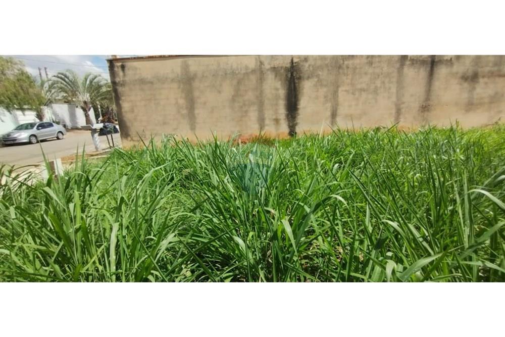 Terreno - Venda - Limeira , São Paulo - WhatsApp Image 2026-02-23 at 10.32.56.jpeg - 690741092-9