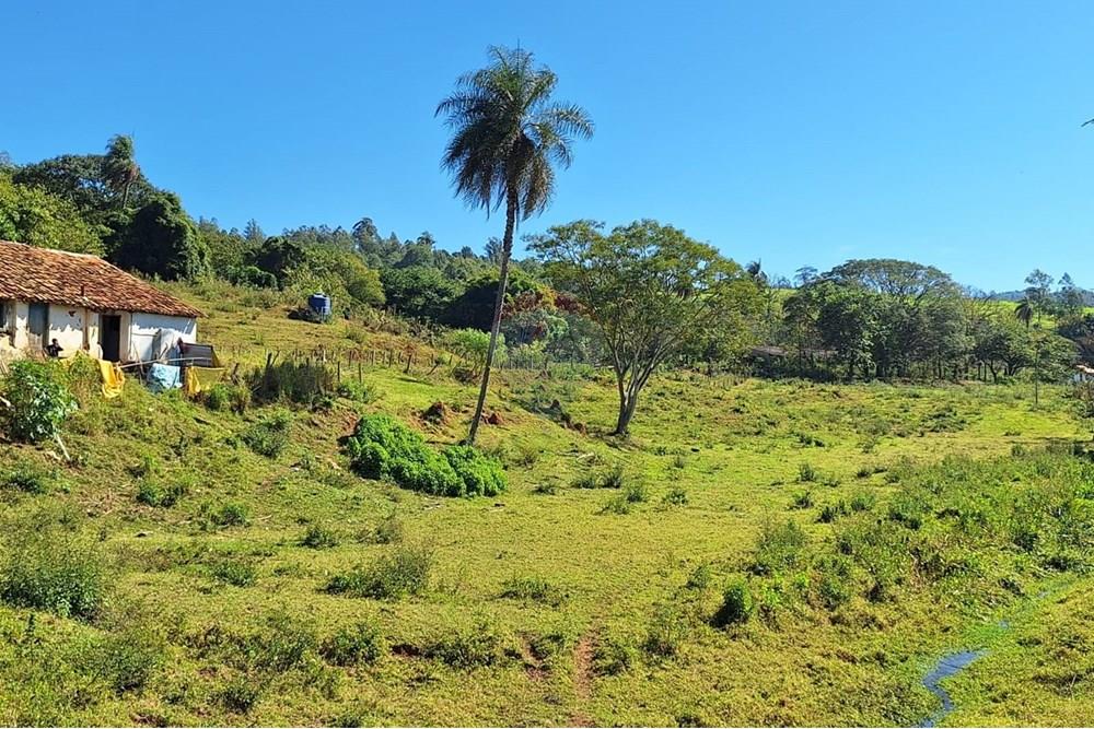 Chácara / Sítio / Fazenda - Venda - Itapira , São Paulo - f8d238b6-41fc-4804-8f35-ffe679a82553.jpg - 690751048-290