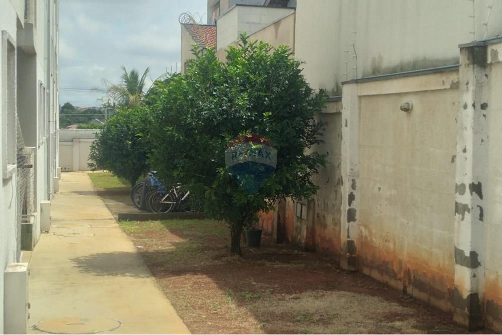 Apartamento - Alugar - Hortolândia , São Paulo - WhatsApp Image 2025-12-16 at 10.02.02 (4).jpeg - 690531133-1