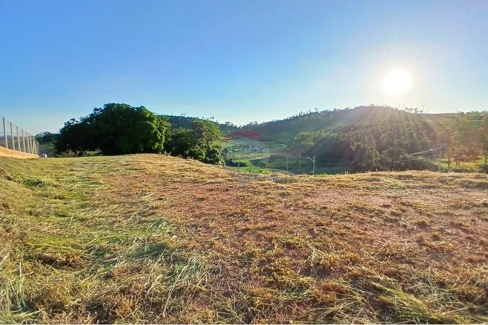 Chácara / Sítio / Fazenda - Venda - Itapira , São Paulo - WhatsApp Image 2025-04-22 at 08.34.42 (1).jpeg - 690291039-40