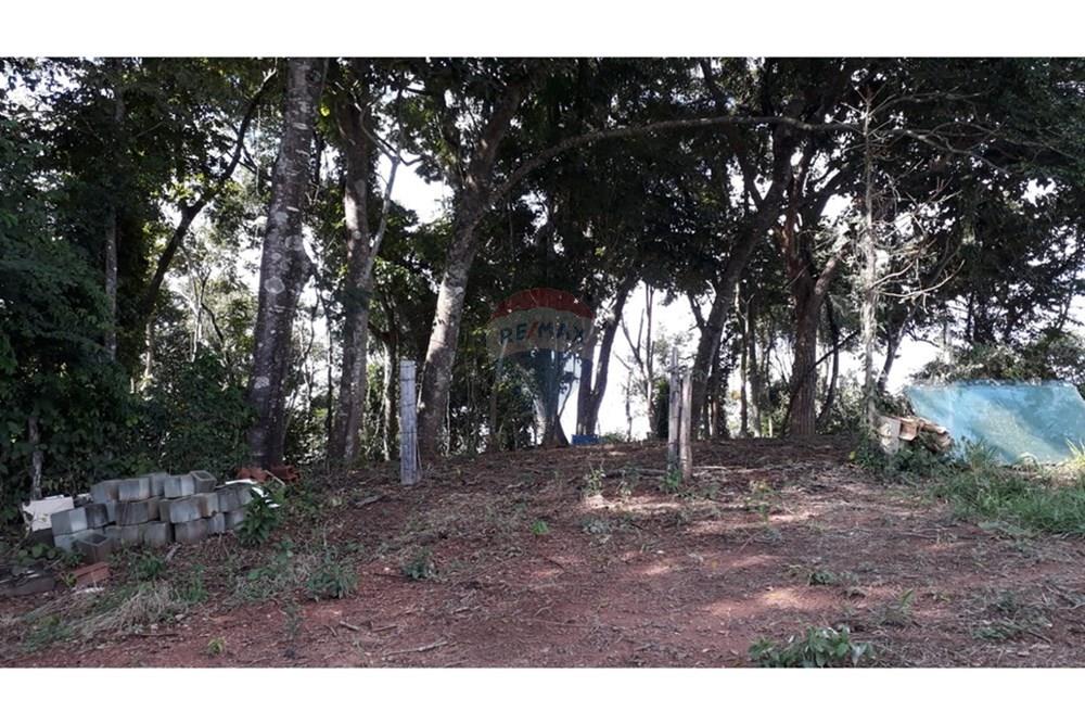 Terreno - Venda - Lindóia , São Paulo - WhatsApp Image 2025-05-20 at 17.11.44 (2).jpeg - 690291056-36