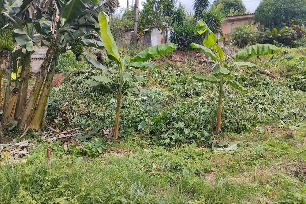 Terreno - Venda - Registro , São Paulo - WhatsApp Image 2026-01-20 at 11.11.31.jpeg - 690061040-37