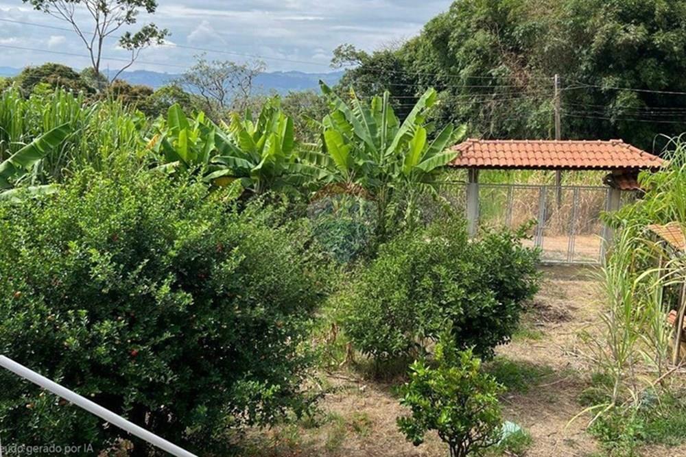 Chácara / Sítio / Fazenda - Venda - Socorro , São Paulo - Captura de tela 2026-01-21 183655(1).jpg - 690751097-4