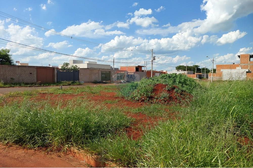 Terreno - Venda - Mogi Guaçu , São Paulo - 20241218_152240.jpg - 690521010-257