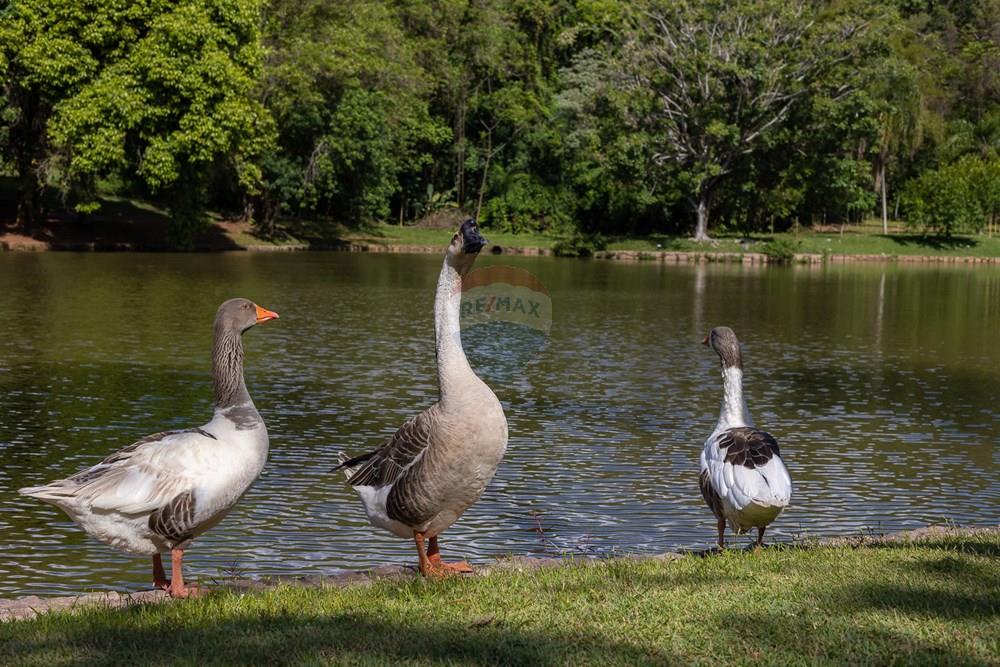 Casa de Condomínio - Venda - Valinhos , São Paulo - TakeDroneBr-17889.jpg - 690491084-88