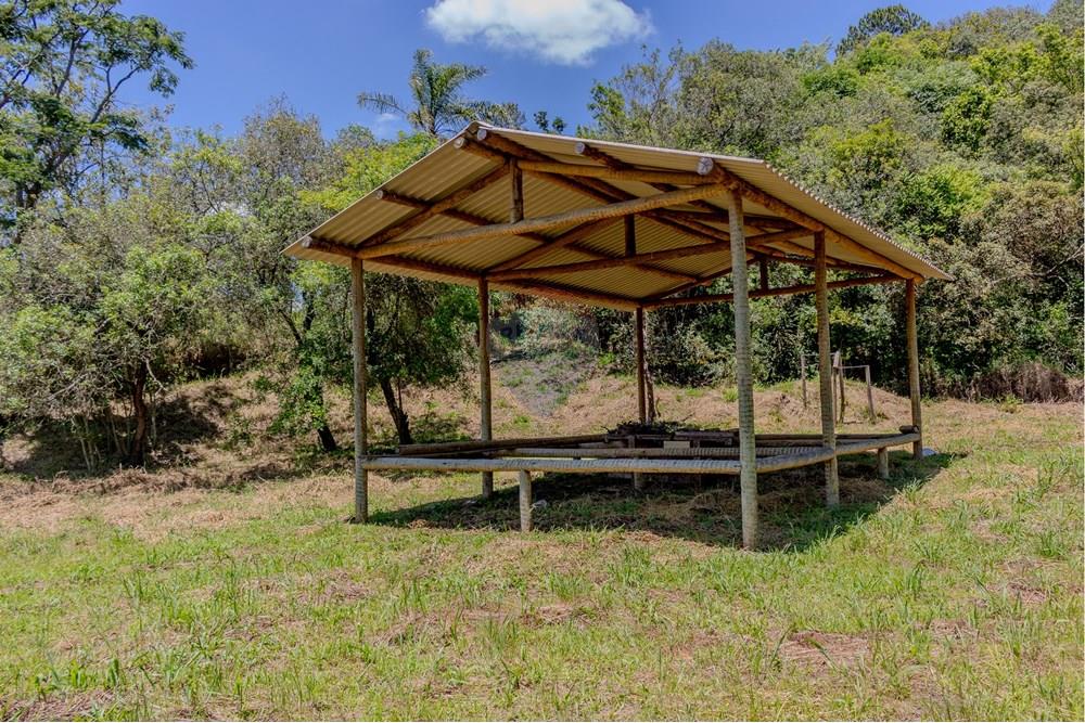 Chácara / Sítio / Fazenda - Venda - Jarinu , São Paulo - RINf-065.jpg - 690921112-9