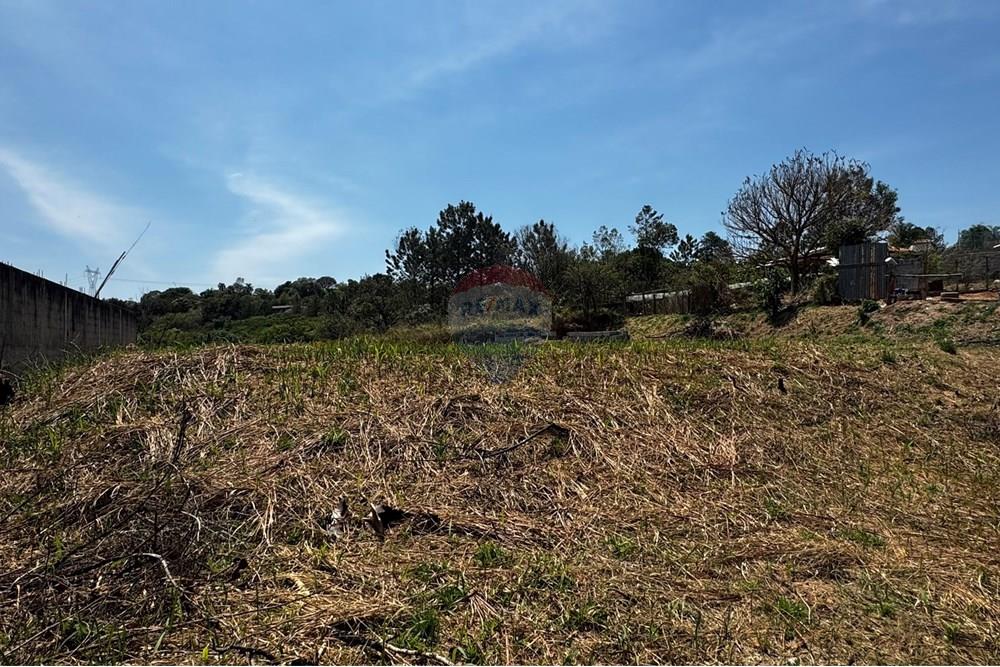 Terreno - Venda - Jarinu , São Paulo - IMG_3332.JPEG - 691121003-32