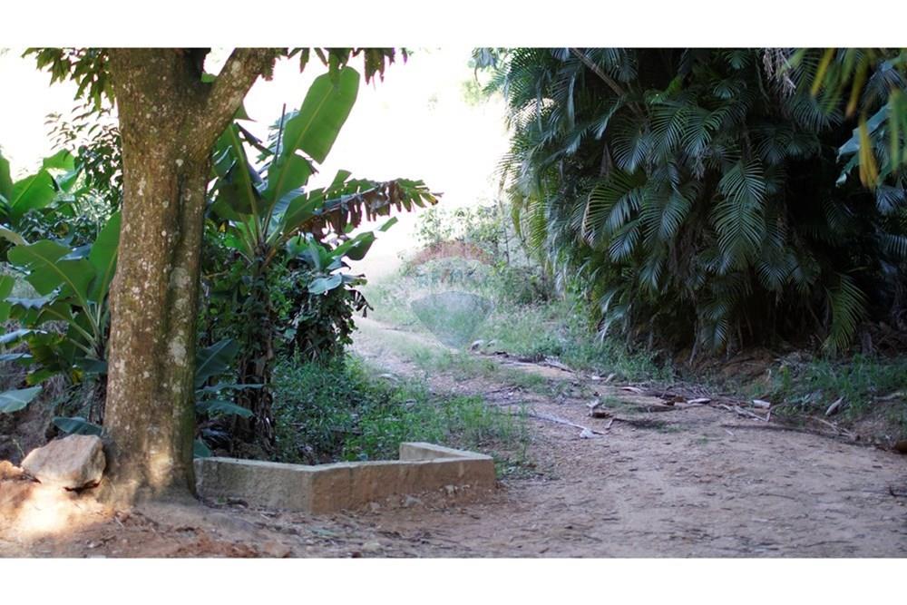 Chácara / Sítio / Fazenda - Venda - Serra Negra , São Paulo - _JEA8975.JPG - 690291056-34