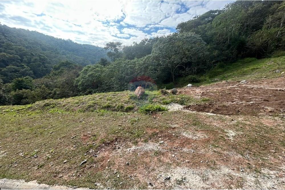 Terreno - Venda - Santana de Parnaíba , São Paulo - Terreno 11.jpg - 691021036-1