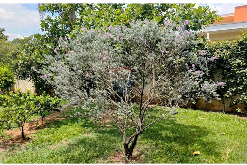 Chácara / Sítio / Fazenda - Venda - Paulínia , São Paulo - 52c40124-7ab0-4965-a9e2-351a103d3c99.jpeg - 690511152-112