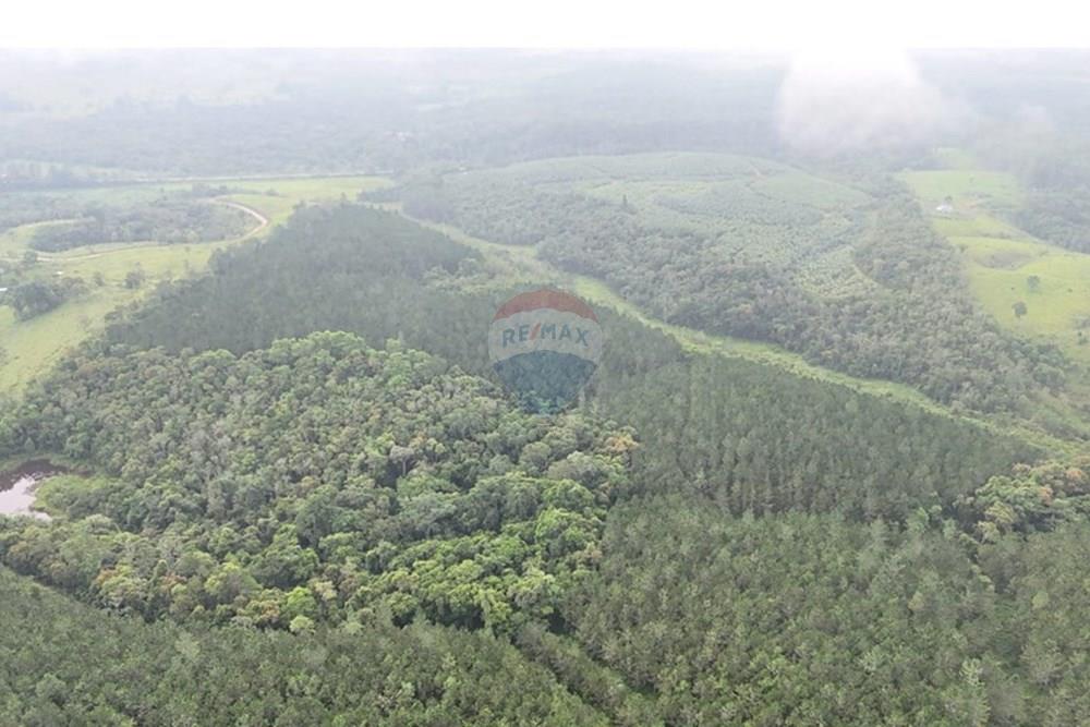 Fazenda - Venda - Jacupiranga , São Paulo - WhatsApp Image 2026-03-02 at 20.10.22 (1).jpeg - 690061037-12