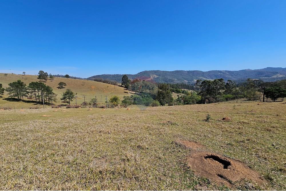 Terreno - Venda - Vargem , São Paulo - 20250930_100043.jpg - 690041101-12