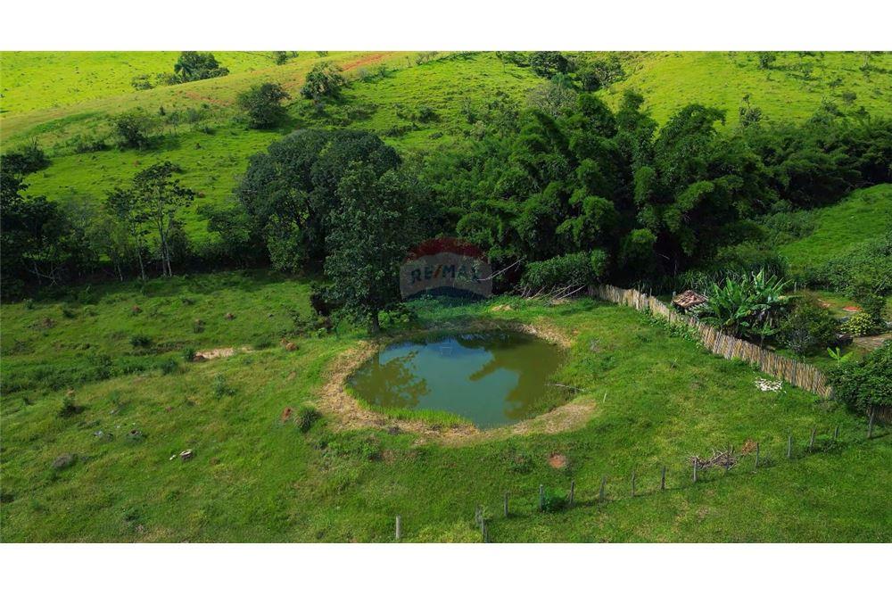 Chácara / Sítio / Fazenda - Venda - Lindóia , São Paulo - 3 - 690291077-296