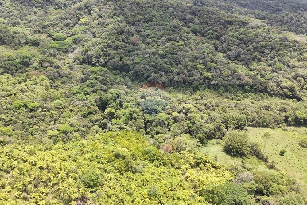 Fazenda - Venda - Pariquera-Açu , São Paulo - WhatsApp Image 2026-03-18 at 16.42.19 (2).jpeg - 690061038-24